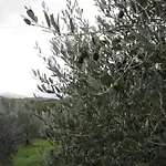 Casa L'arcobaleno Apartamento Montecchio (Terni)