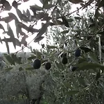 Apartmán Casa L'arcobaleno *