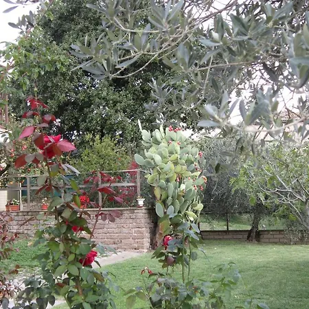 Casa L'arcobaleno Apartman *