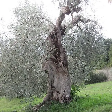 Casa L'arcobaleno Apartamento *