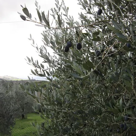 Casa L'arcobaleno Apartamento Montecchio (Terni)