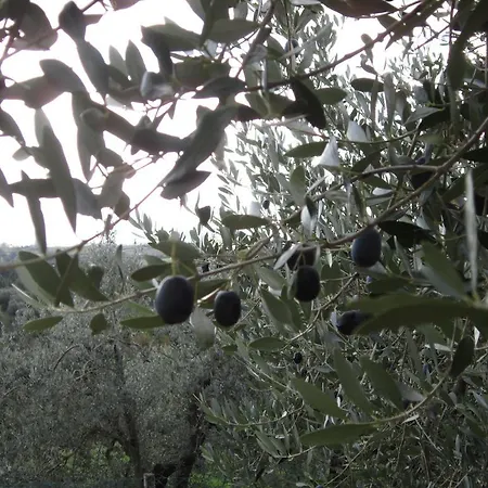Apartamento Casa L'arcobaleno *
