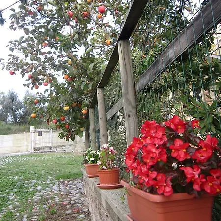 Appartamento Casa L'arcobaleno *