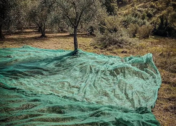 Apartamento Casa L'arcobaleno