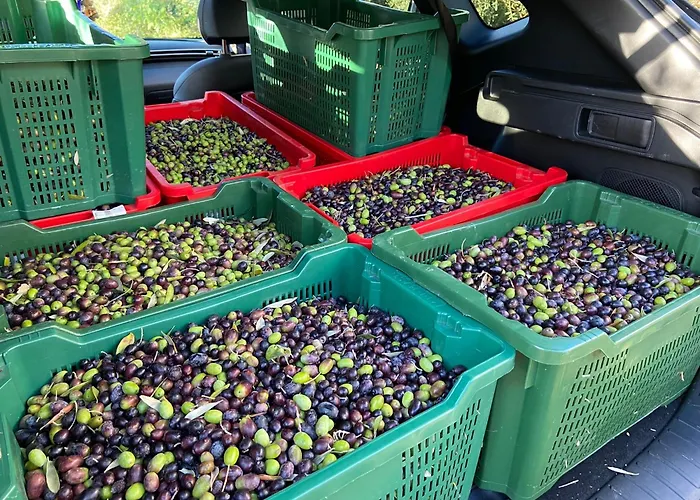 Casa L'arcobaleno * Montecchio (Terni)