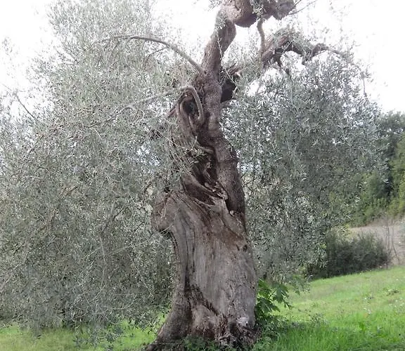 Casa L'arcobaleno Apartamento *