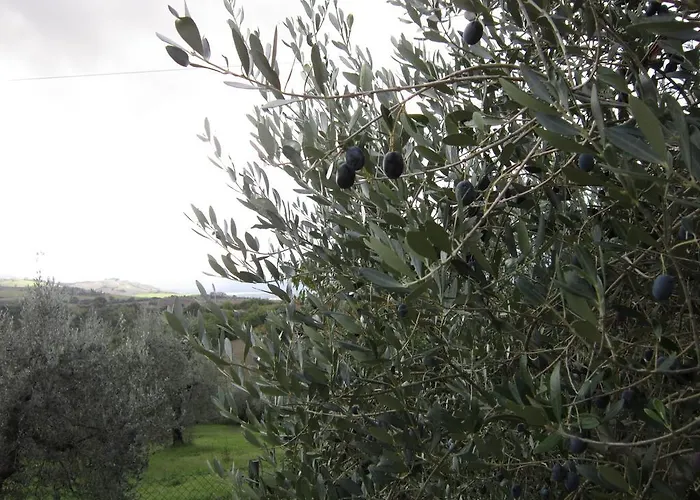 Casa L'arcobaleno Apartamento Montecchio (Terni)