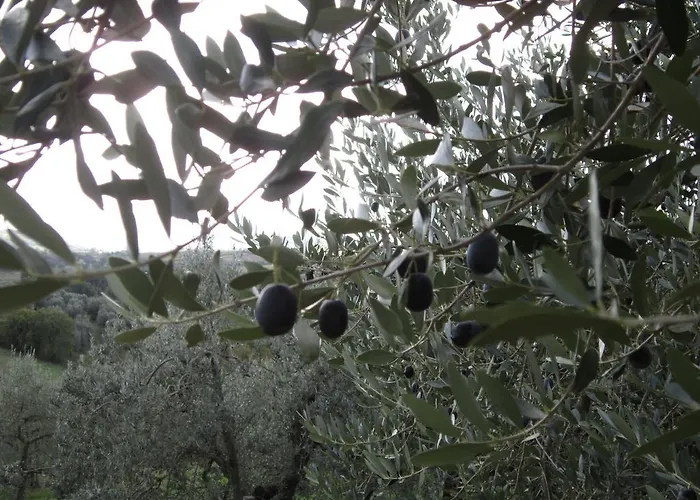 Apartamento Casa L'arcobaleno *
